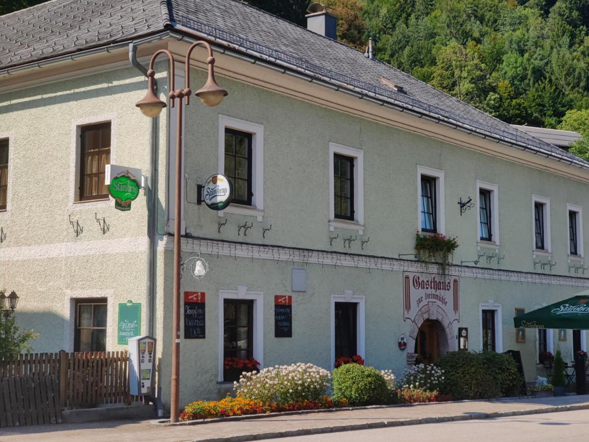 Ferienwohnung Elsasser Gaming Екстер'єр фото